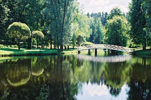 romantic bridge