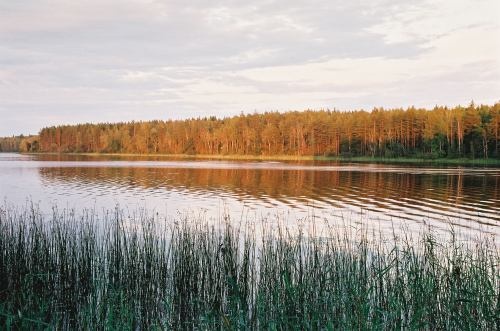 Early morning on the lake