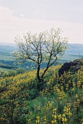 View from the top